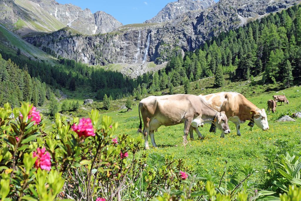 Pension Fuchs Пфундс Екстериор снимка